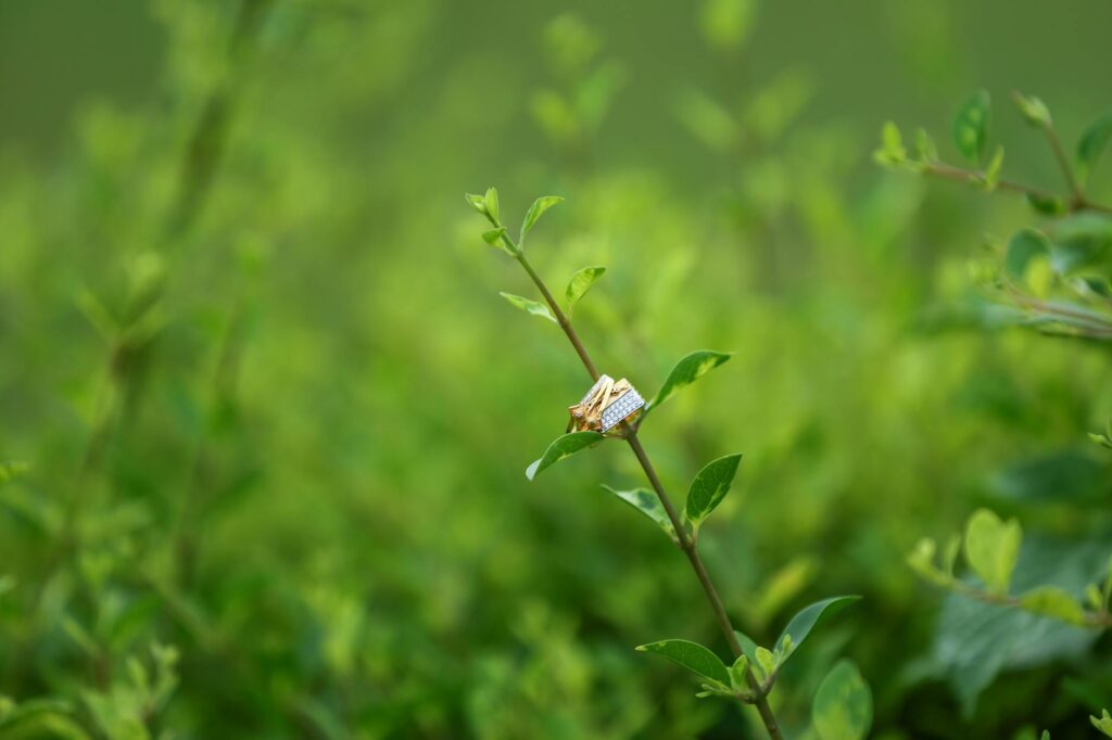 Những Điều Kiêng Kỵ Trong Lễ Ăn Hỏi Bạn Cần Biết